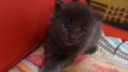 /album/a3-5-tyzdna/a2014-02-15-10-24-44-jpg/